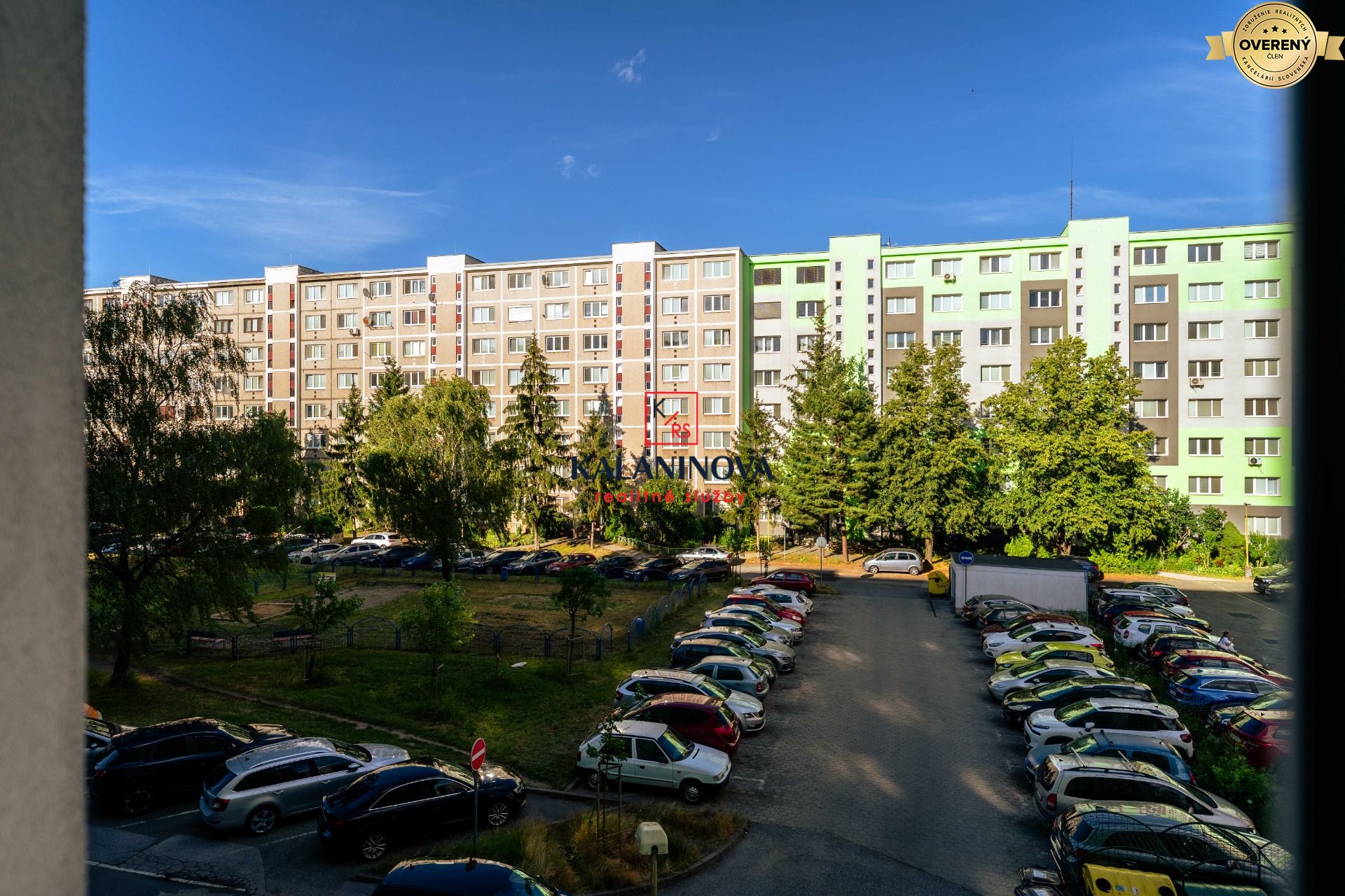 BD (2).jpg