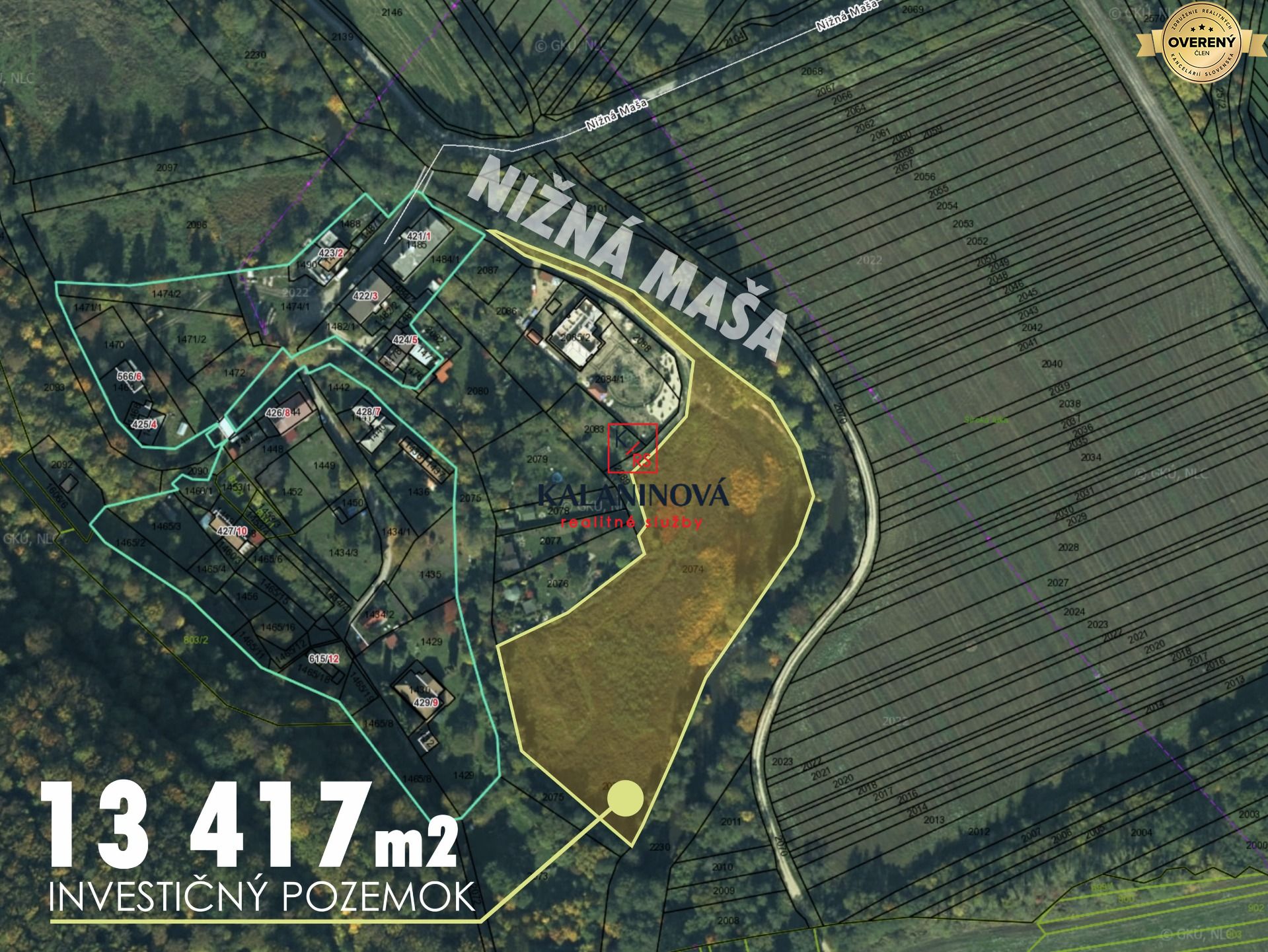 foto.jpg